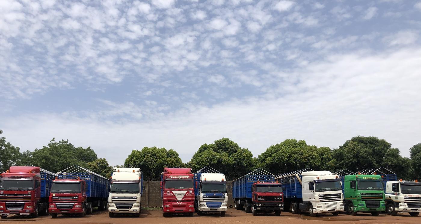Bazuwa Motors fleet of stake-body cargo trucks parked in a row